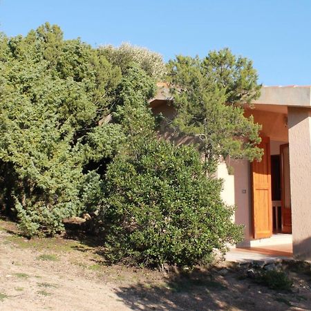 Rena Garden Apartments Santa Teresa Gallura Dış mekan fotoğraf