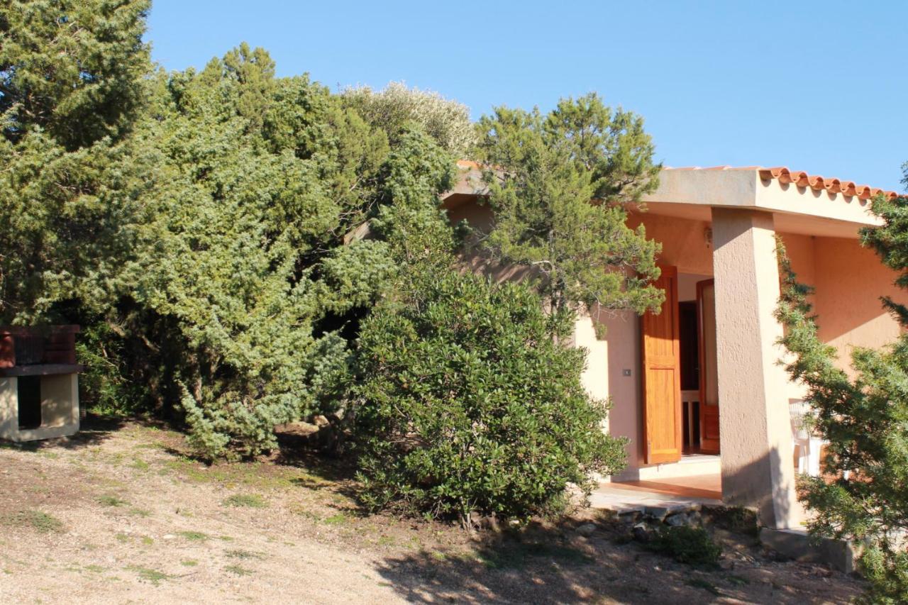 Rena Garden Apartments Santa Teresa Gallura Dış mekan fotoğraf